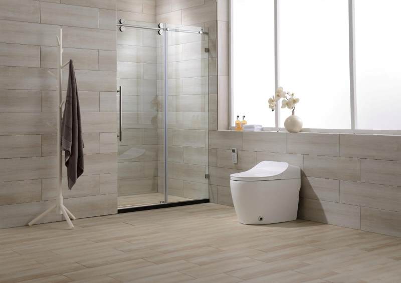 Frameless Sliding Shower Door